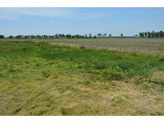Property photo 41 - 4 Trupointe Agronomy Locations + Assorted Chemical & Fertilizer Tanks